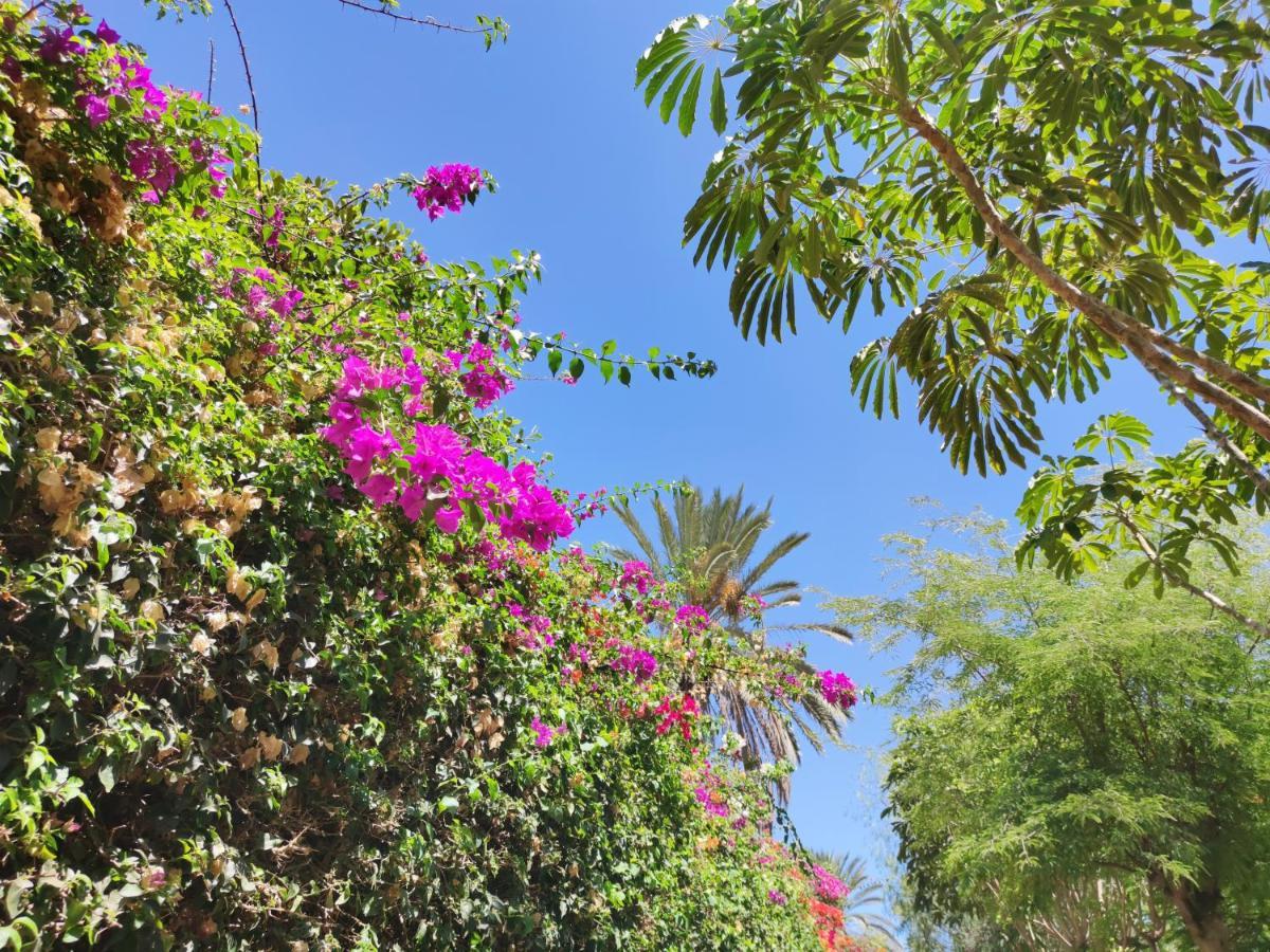 Villa Zinnia Playa Blanca  Exteriér fotografie
